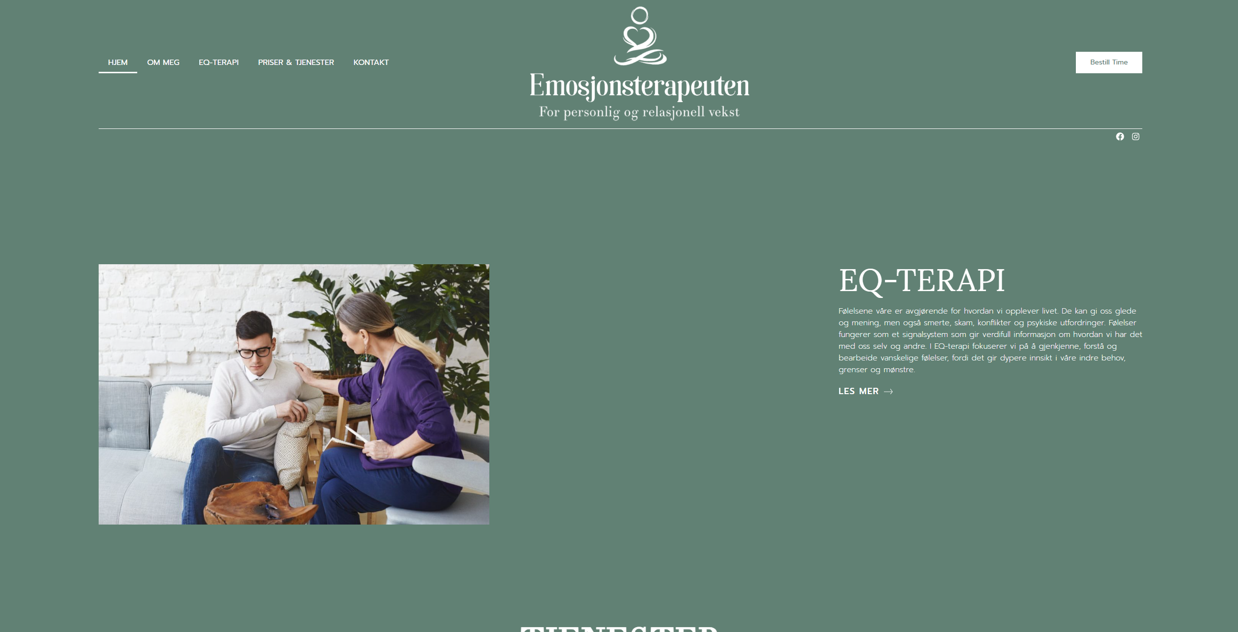 Om EQ-terapi